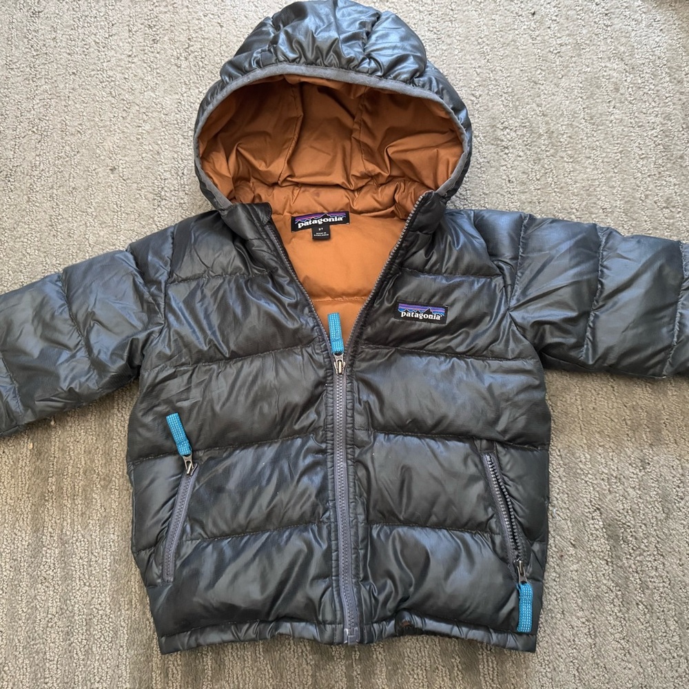 Patagonia Black Puffer Jacket with Brown Lining